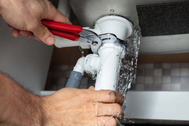 Best Local water damage restoration  in Elwood, KS
