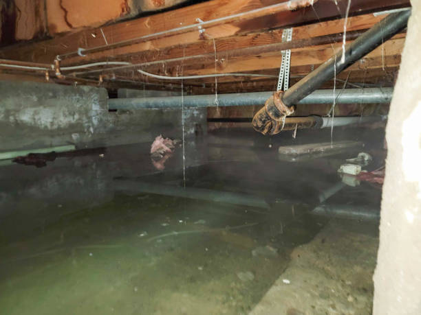Best 24-hour water damage restoration  in Elwood, KS