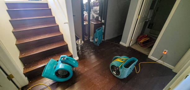 Best Fire Damage Restoration  in Elwood, KS