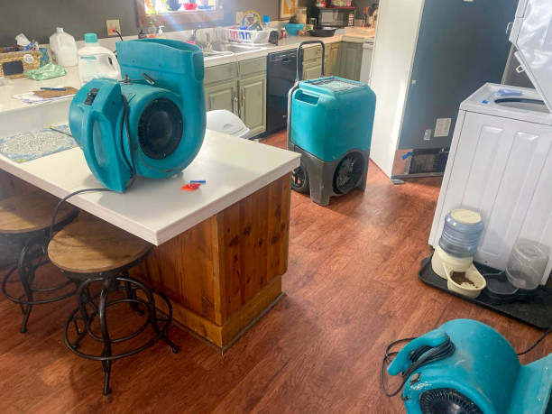 Best Water damage contractors near me  in Elwood, KS
