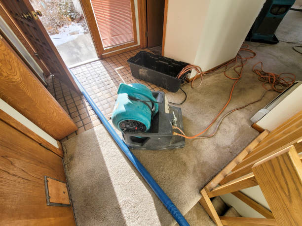 Best 24/7 water damage repair  in Elwood, KS