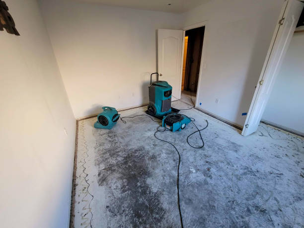  Elwood, KS Water damage restoration Pros