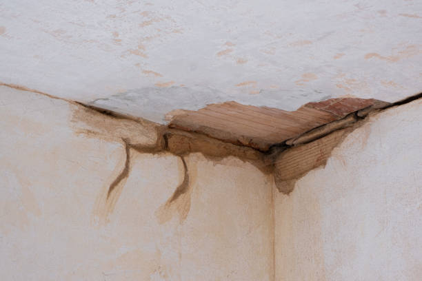 Best Emergency water damage restoration  in Elwood, KS