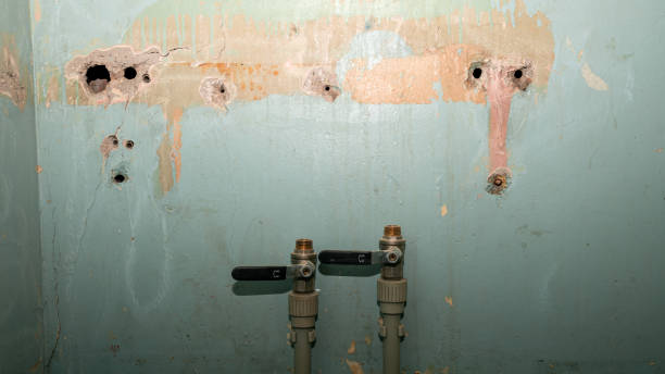 Best Carpet water damage restoration  in Elwood, KS