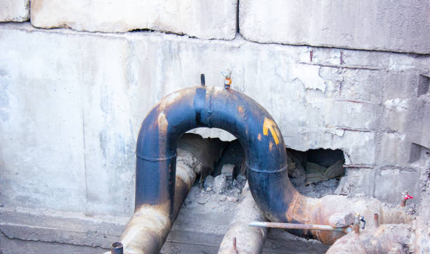 Best Water damage restoration process  in Elwood, KS
