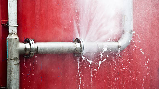 Best Water damage cleanup near me  in Elwood, KS