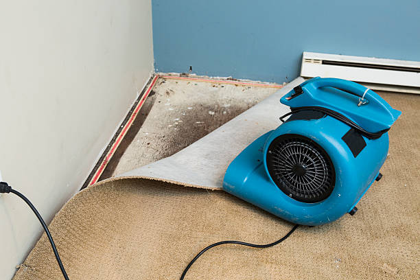 Best 24-hour water damage restoration  in Elwood, KS